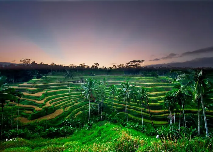 Hotel Puri Padma Ubud