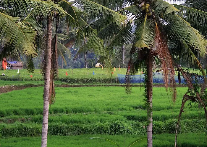 Hotel Puri Padma