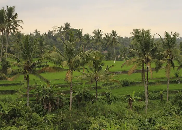 Puri Padma Hotel Ubud